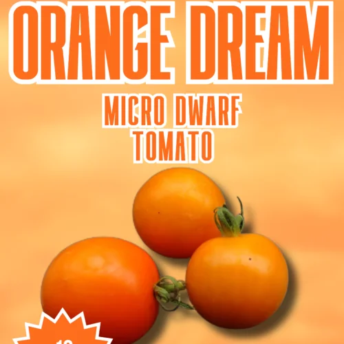 Orange Dream Micro Dwarf Tomato Seeds