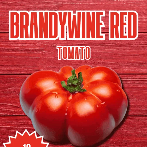Brandywine Red Tomato Seeds