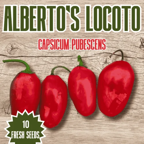 Alberto’s Locoto Chilli Seeds