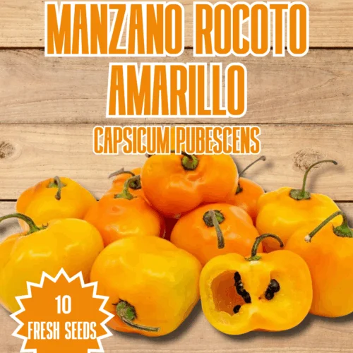 Manzano Rocoto Amarillo Chilli Seeds