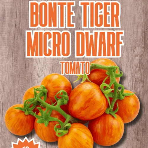 Bonte Tiger Micro Dwarf Tomato Seeds