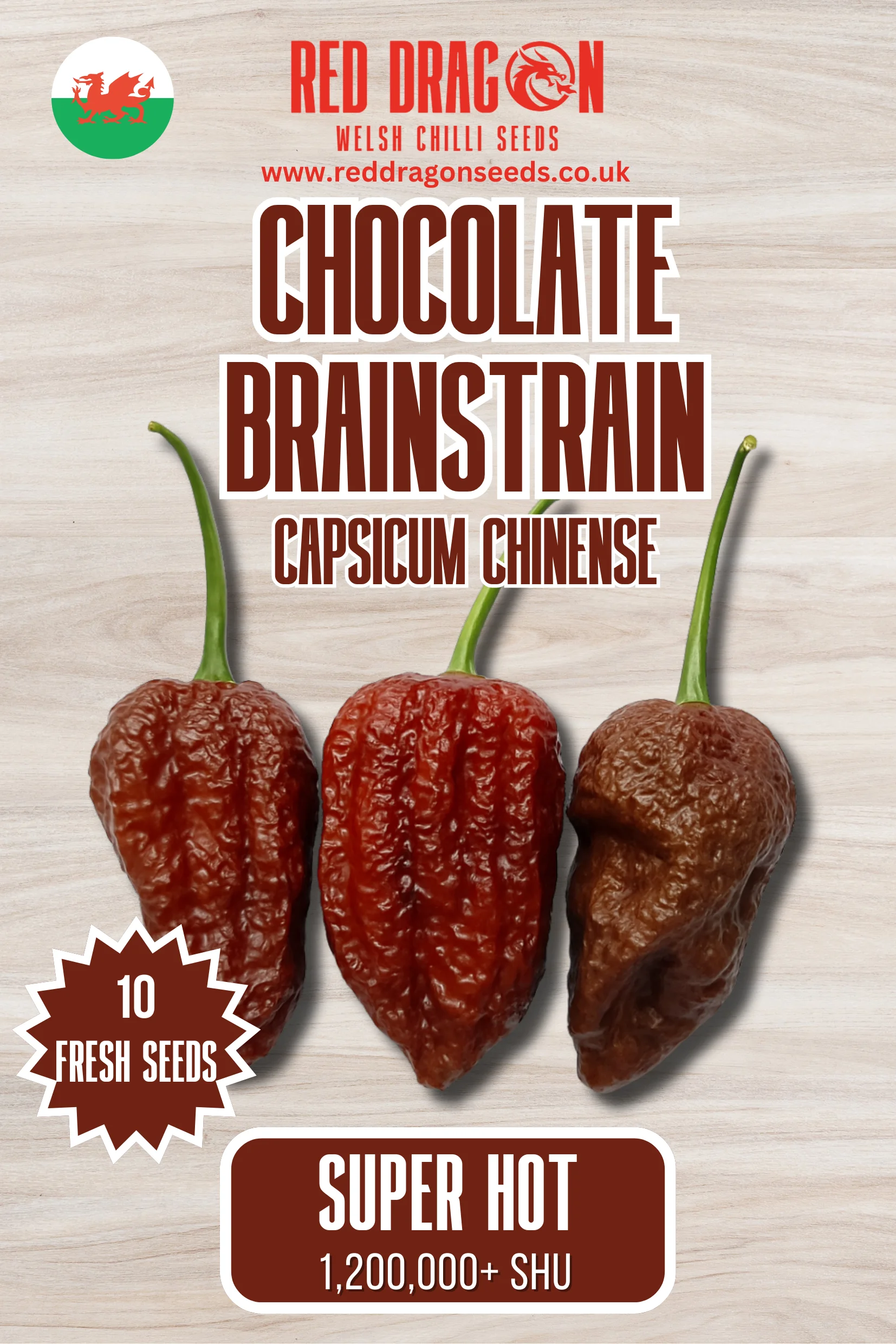 Chocolate Brainstrain Chilli Seeds