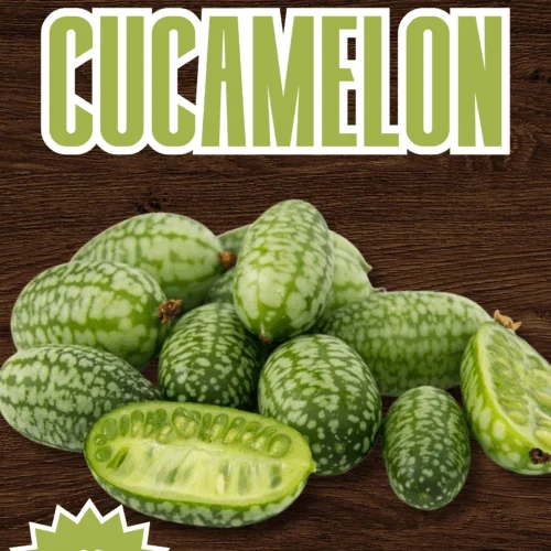 Cucamelon Seeds