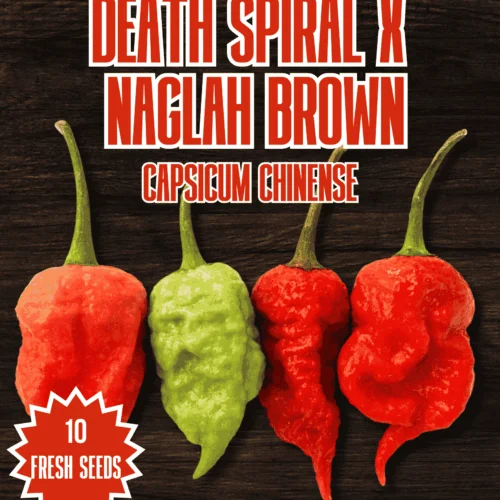 Death Spiral x Naglah Brown Chilli Seeds