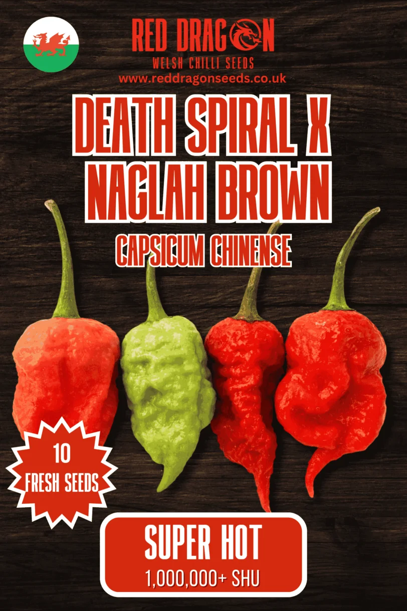 Death Spiral x Naglah Brown Chilli Seeds