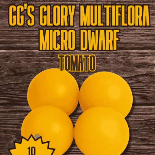 GG'S Glory MultiFlora Micro Dwarf Tomato Seeds