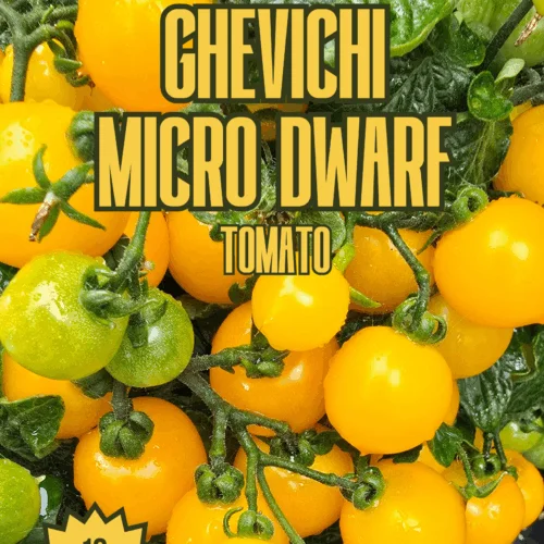 Ghevichi Micro Dwarf Tomato Seeds