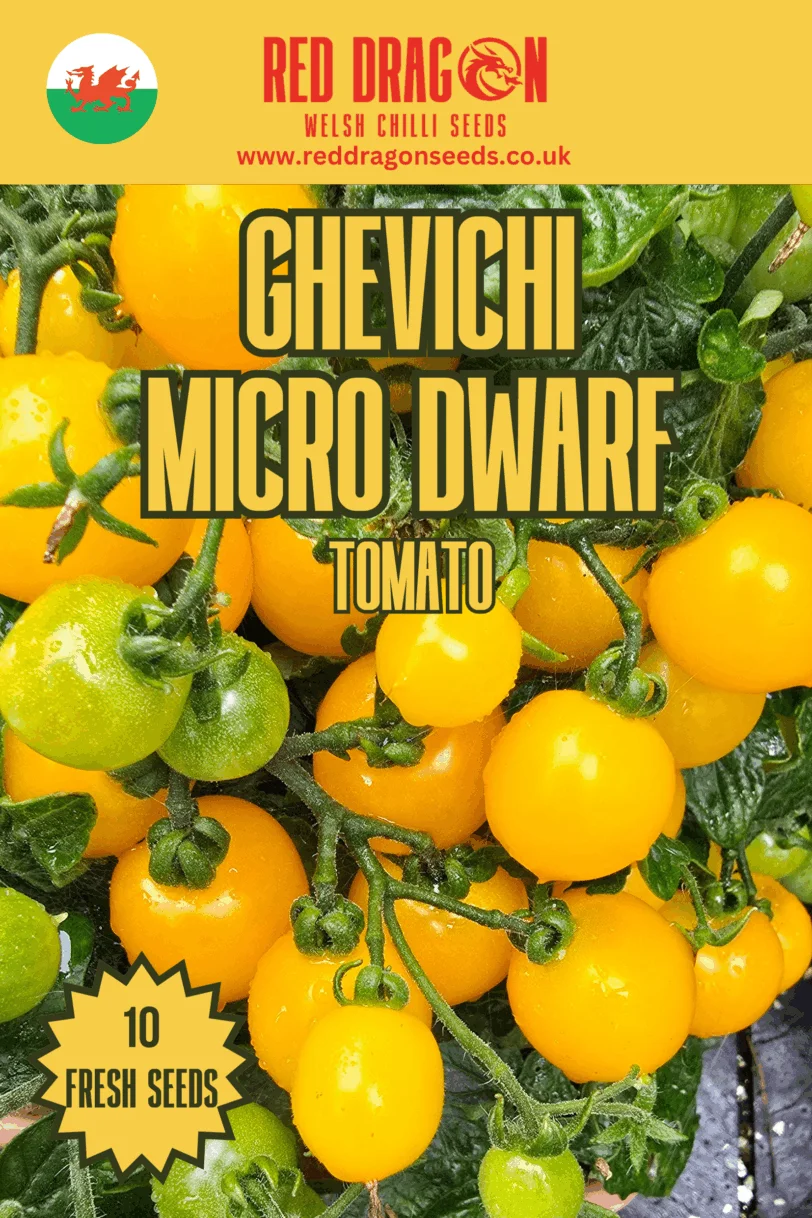 Ghevichi Micro Dwarf Tomato Seeds