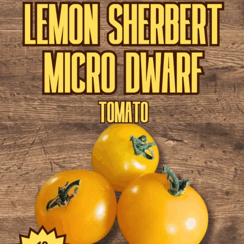 Lemon Sherbert Micro Dwarf Tomato Seeds