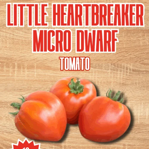 Little Heartbreaker Micro Dwarf Tomato Seeds