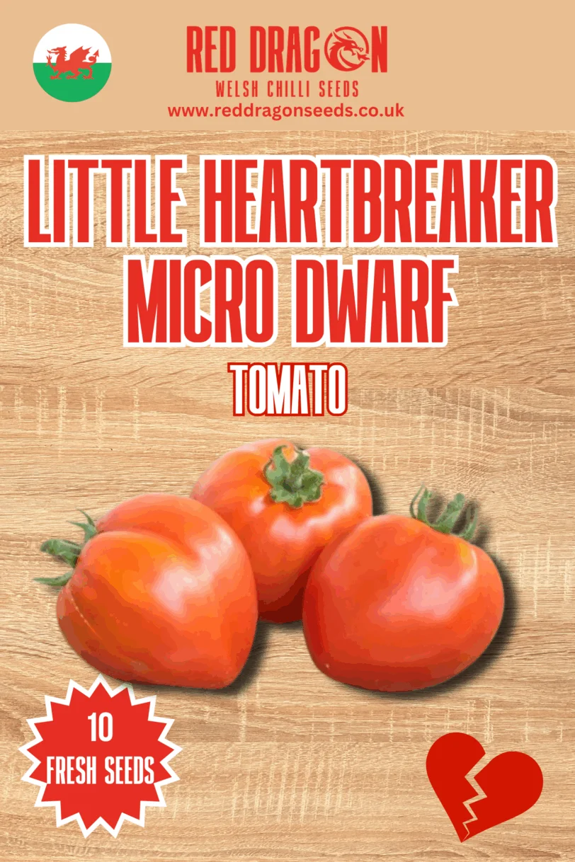 Little Heartbreaker Micro Dwarf Tomato Seeds