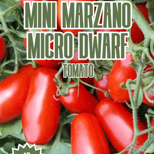 Mini Marzano Micro Dwarf Tomato Seeds