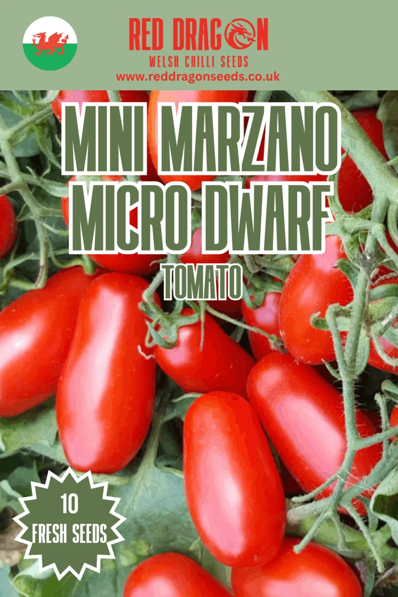 Mini Marzano Micro Dwarf Tomato Seeds
