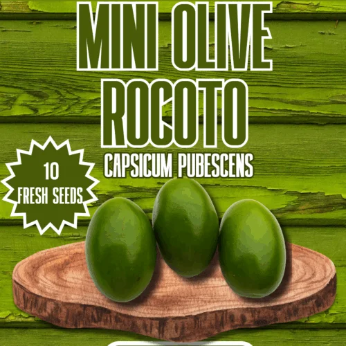 Mini Olive Rocoto Chilli Seeds