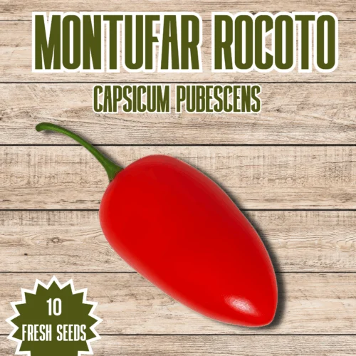 Montufar Rocoto Chilli Seeds