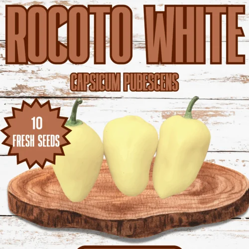 Rocoto White Chilli Seeds