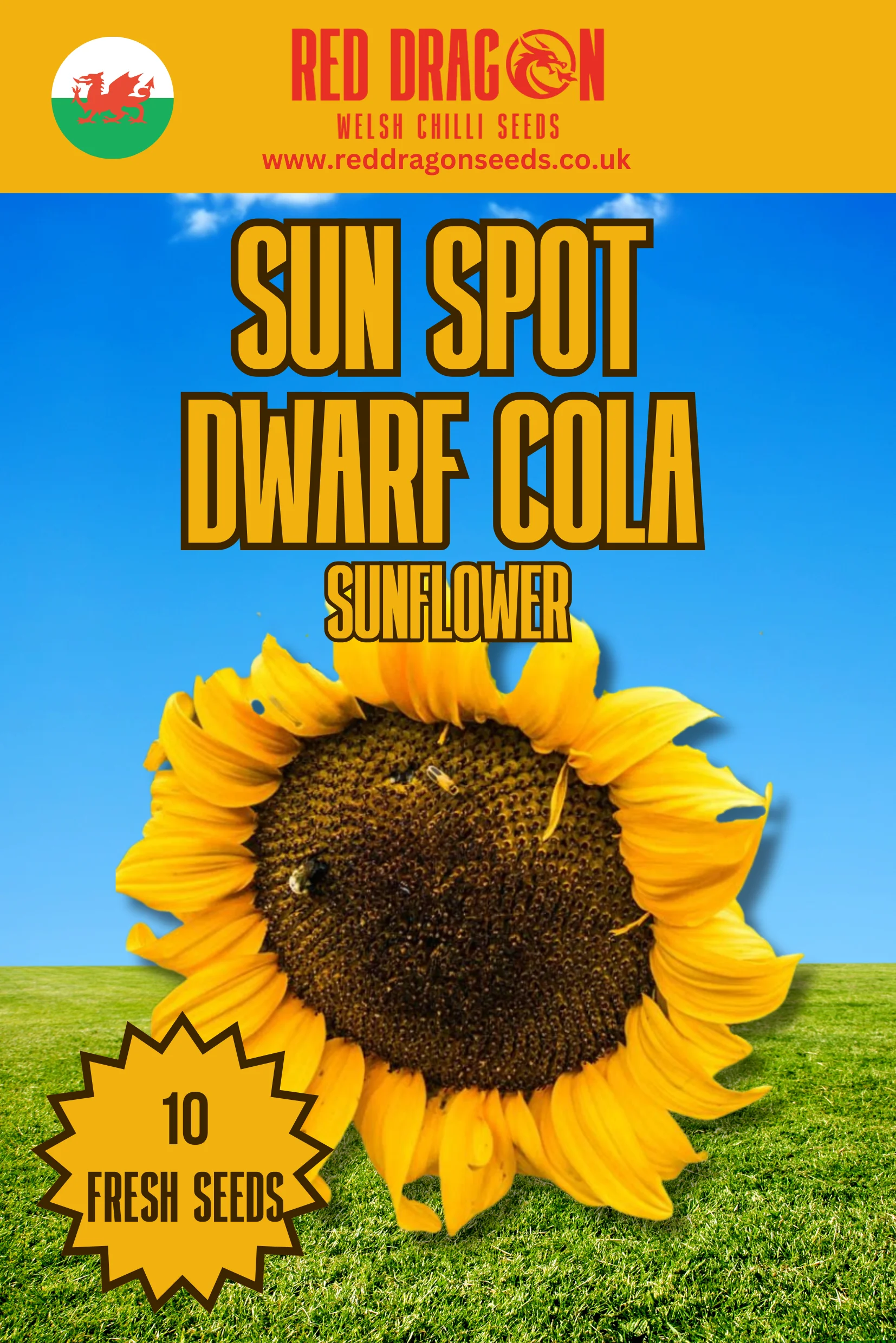 Sun Spot Dwarf Cola Sunflower Seeds