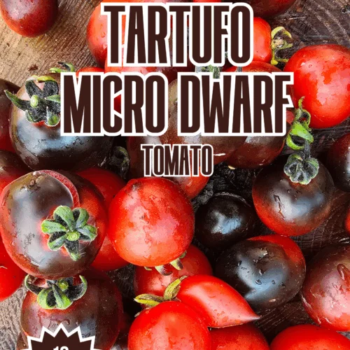 Tartufo Microdwarf Tomato Seeds