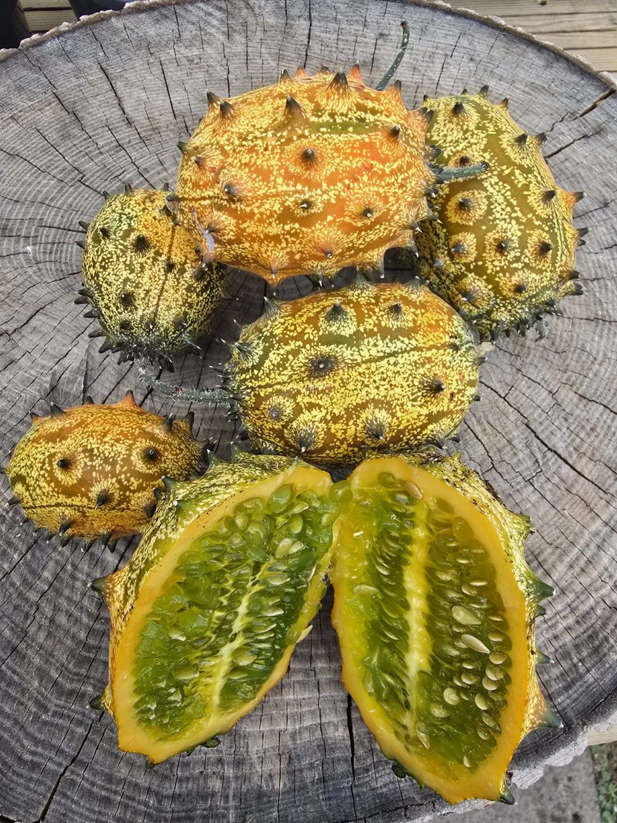 Kiwano Horned Melon Seeds - Image 2