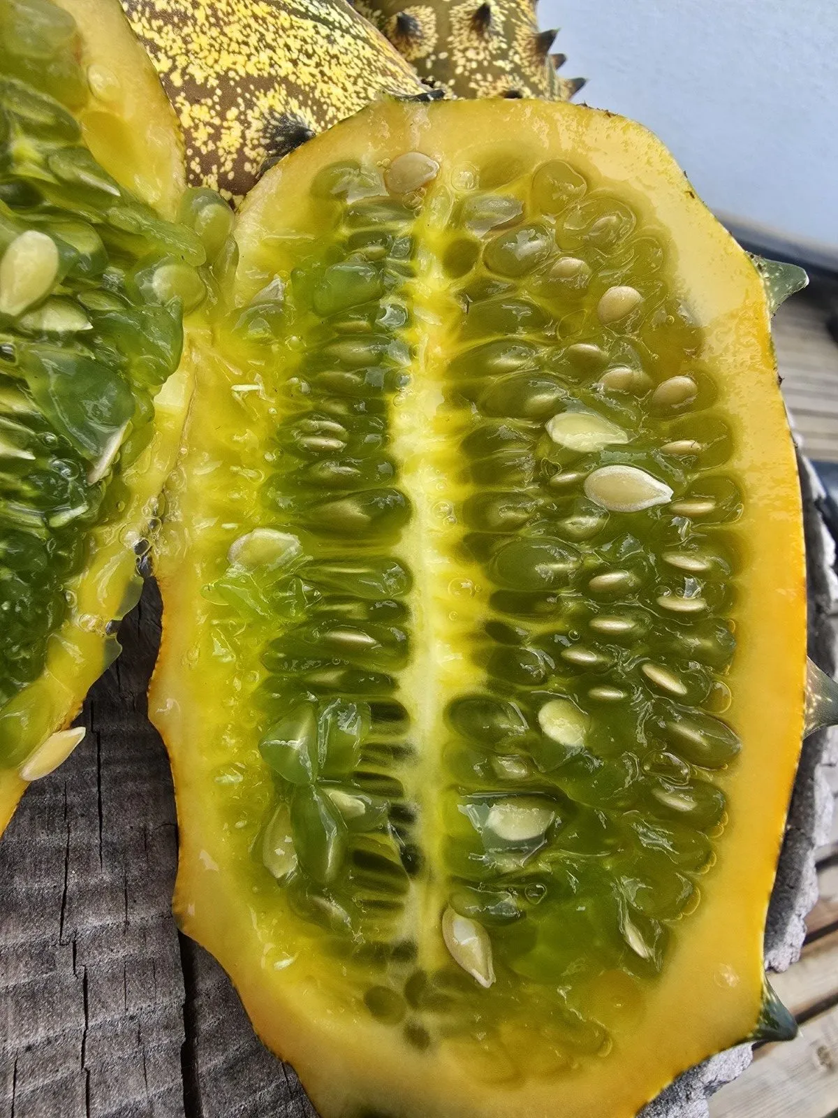 Kiwano Horned Melon Seeds - Image 4