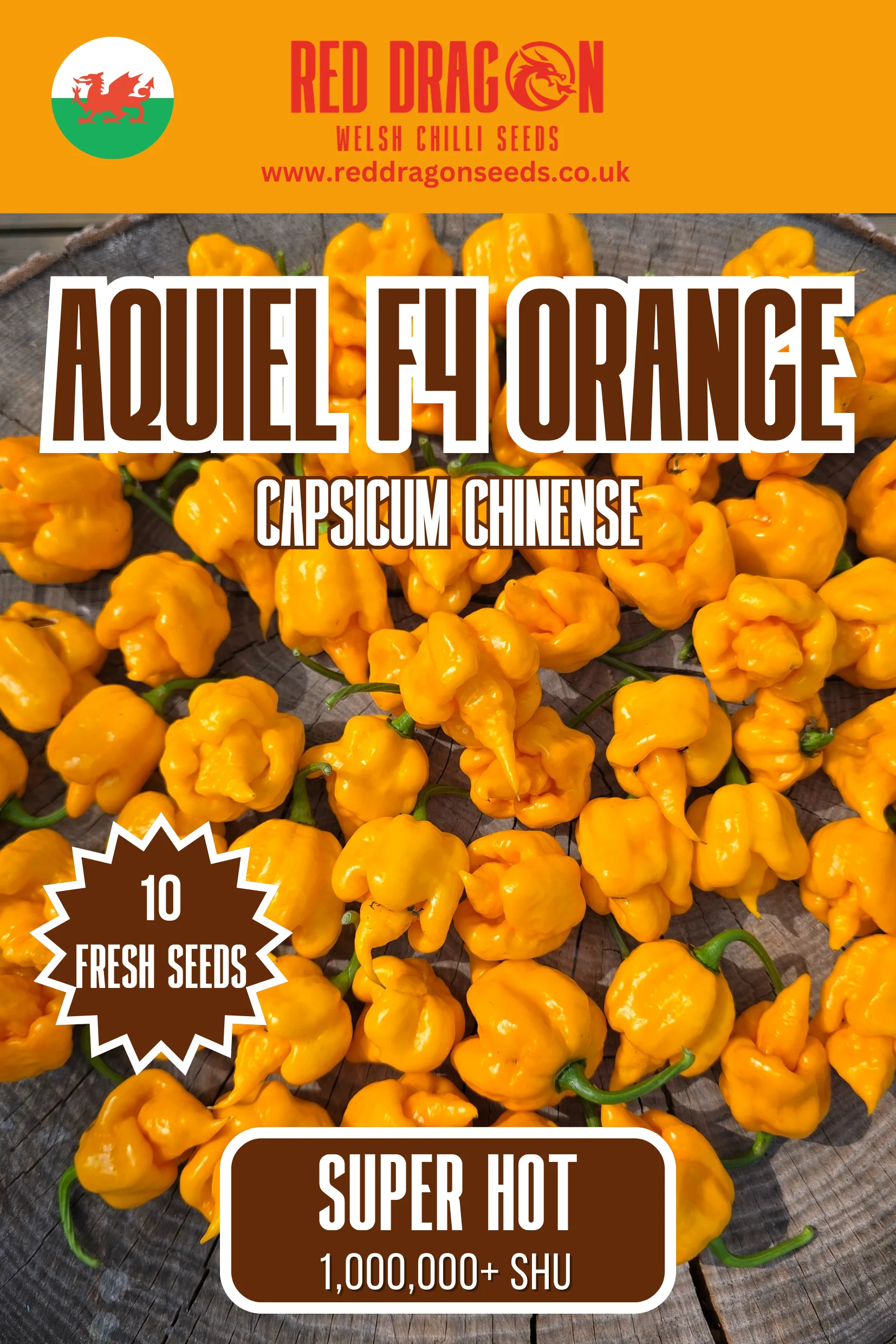 Aquiel F4 Orange Chilli Seeds