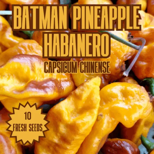 Batman Pineapple Habanero Chilli Seeds