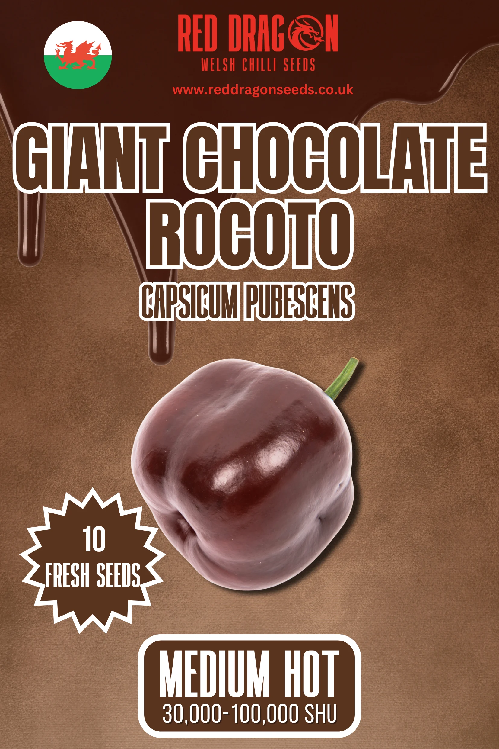 Giant Chocolate Rocoto Chilli Seeds