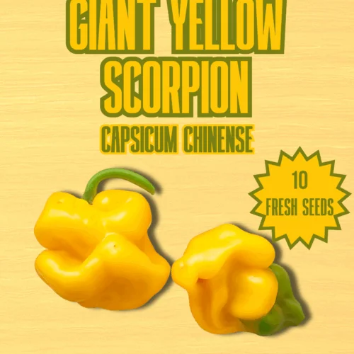 Giant Yellow Scorpion Chilli Seeds