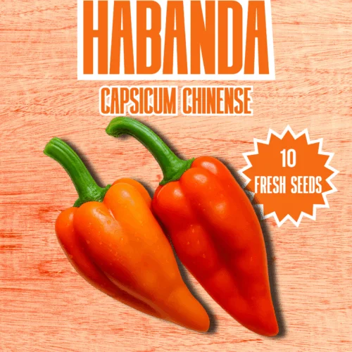 Habanda Chilli Seeds