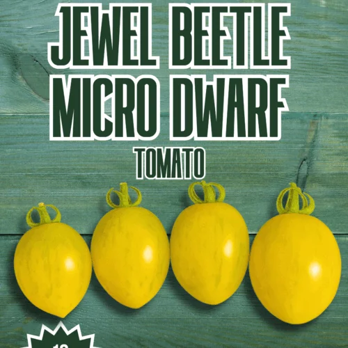 Jewel Beetle Micro Dwarf Tomato Seeds