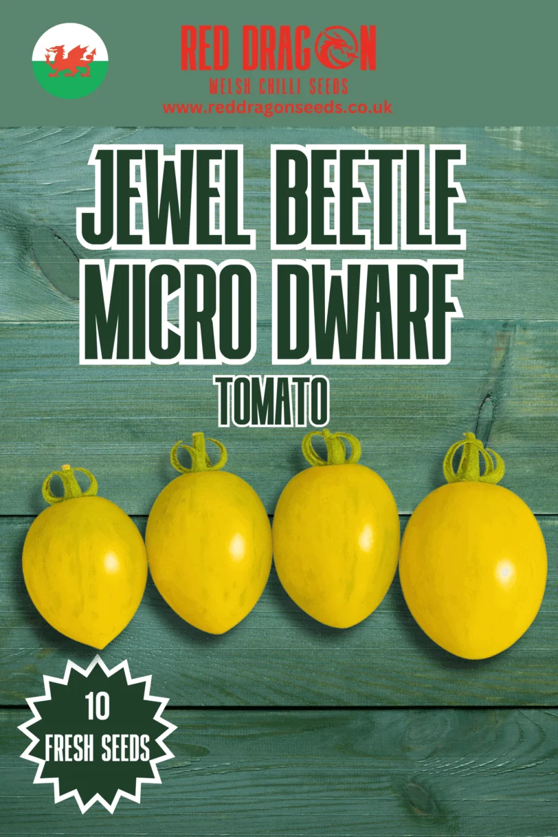 Jewel Beetle Micro Dwarf Tomato Seeds