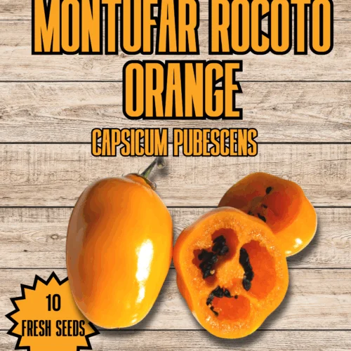 Montufar Rocoto Orange Chilli Seeds