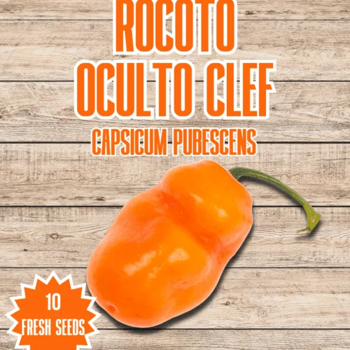 Rocoto Oculto Clef Chilli Seeds