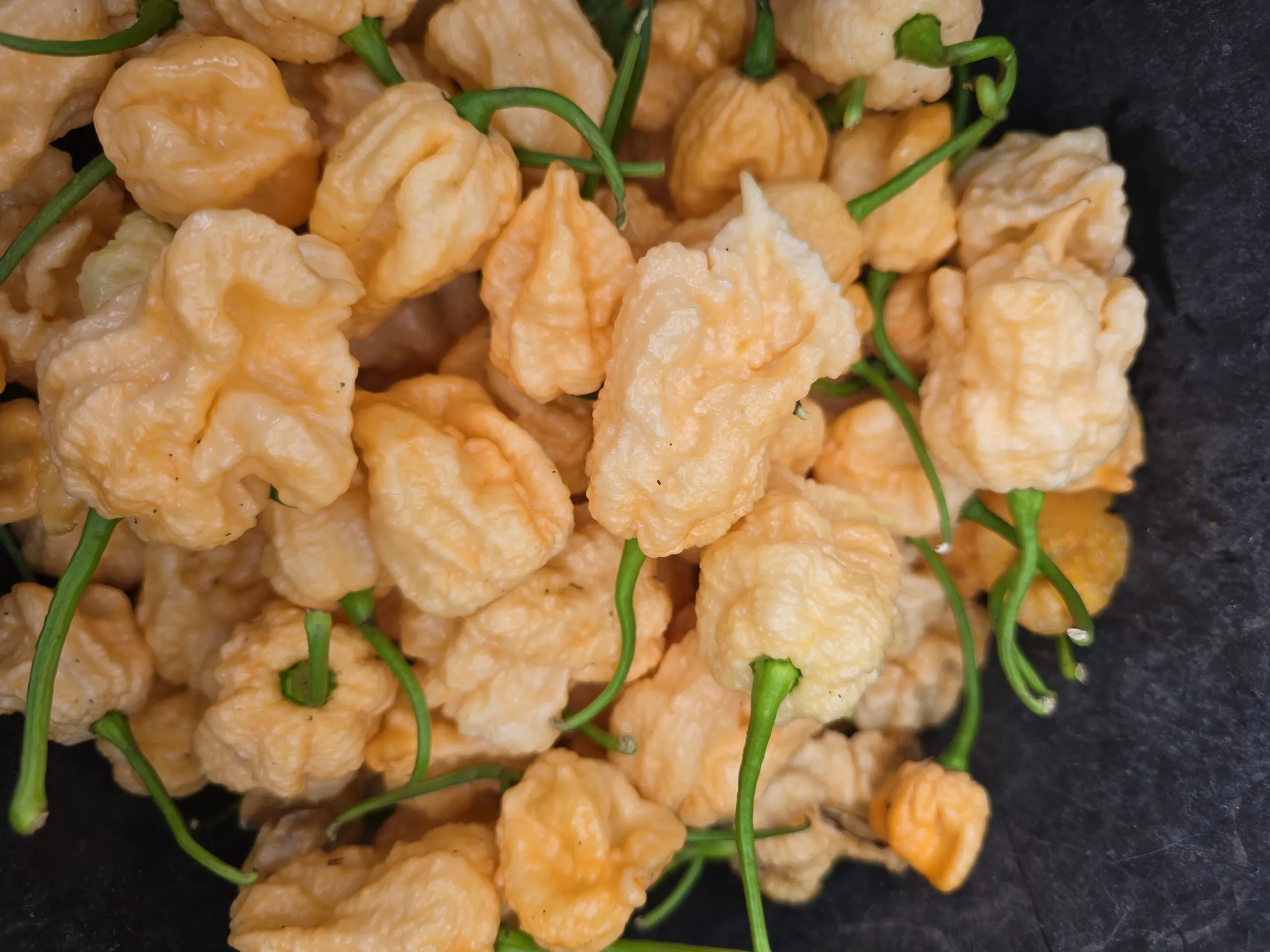 Kevin's Fried Chicken Chilli Seeds - Image 2