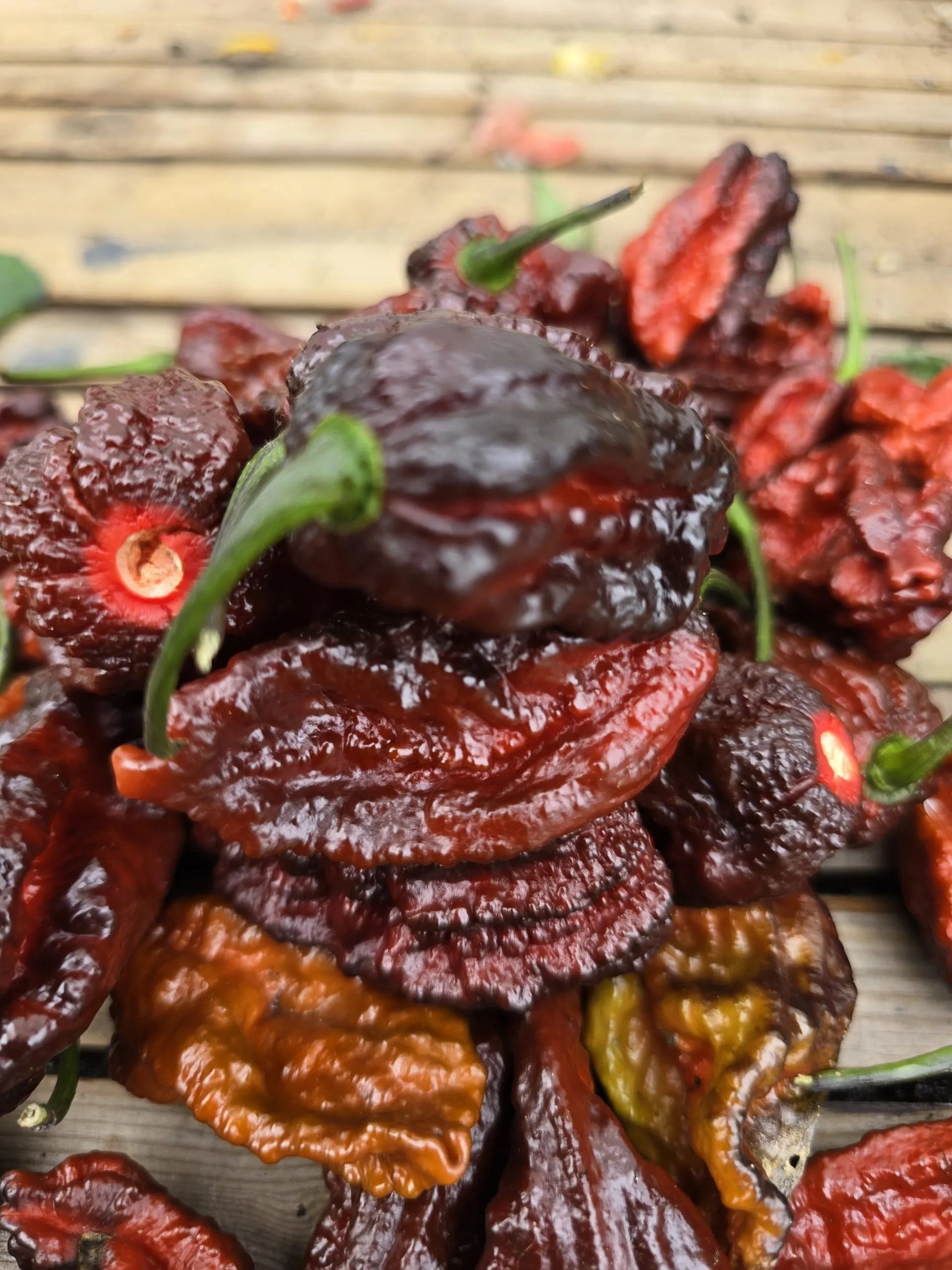 Nazguls Breakfast Chilli Seeds - Image 2