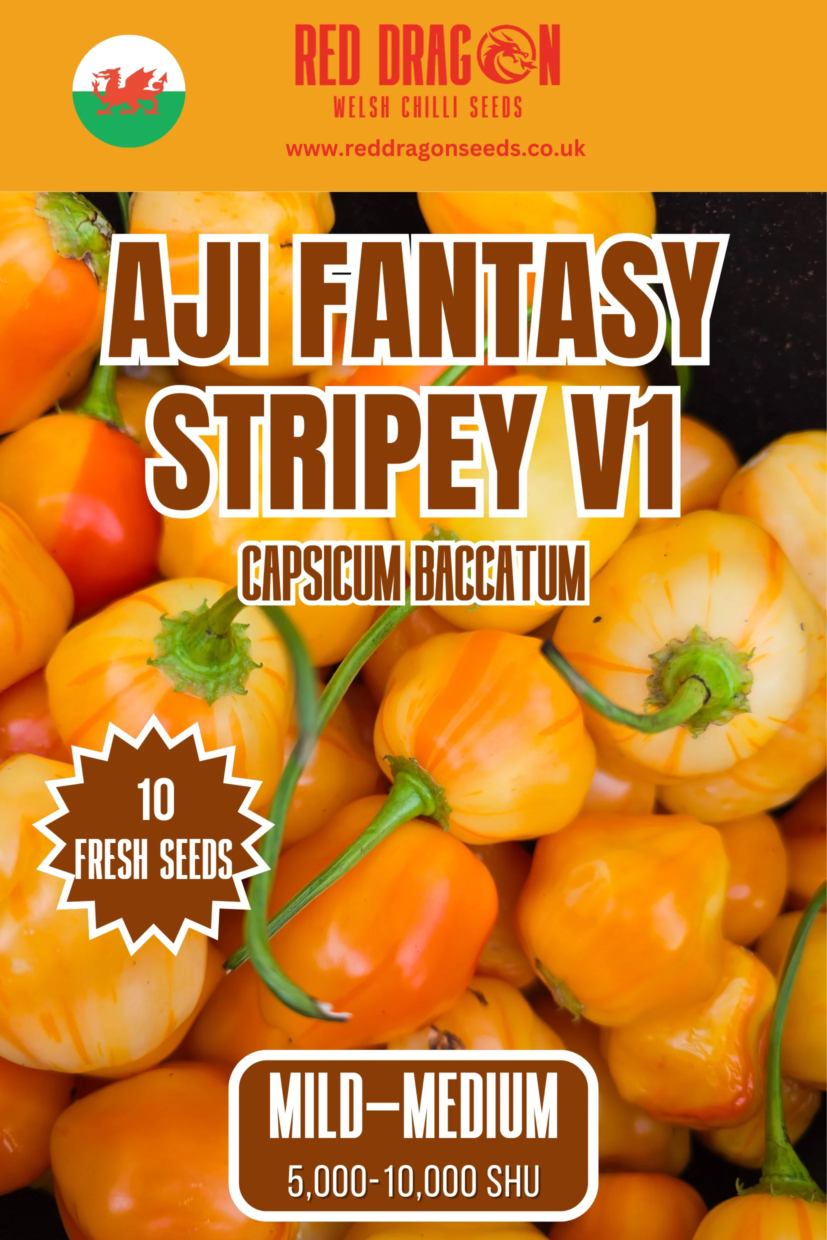 Aji Fantasy Stripey V1 Chilli Seeds
