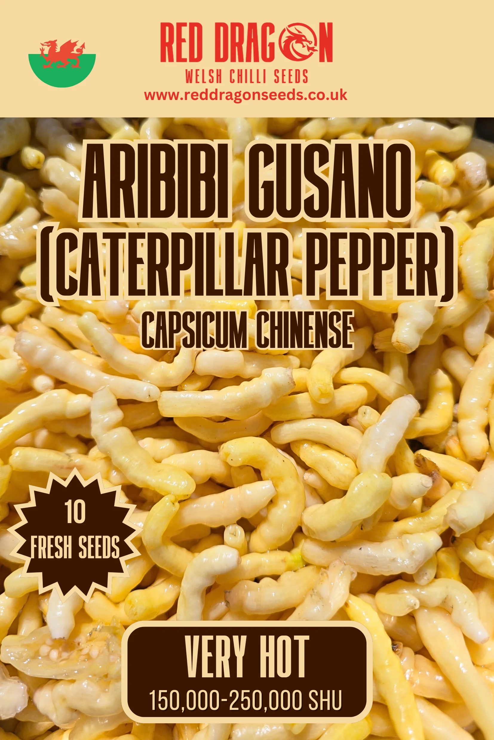 Aribibi Gusano (Caterpillar Pepper) Chilli Seeds