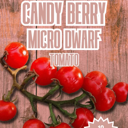 Candy Berry Micro Dwarf Tomato Seeds