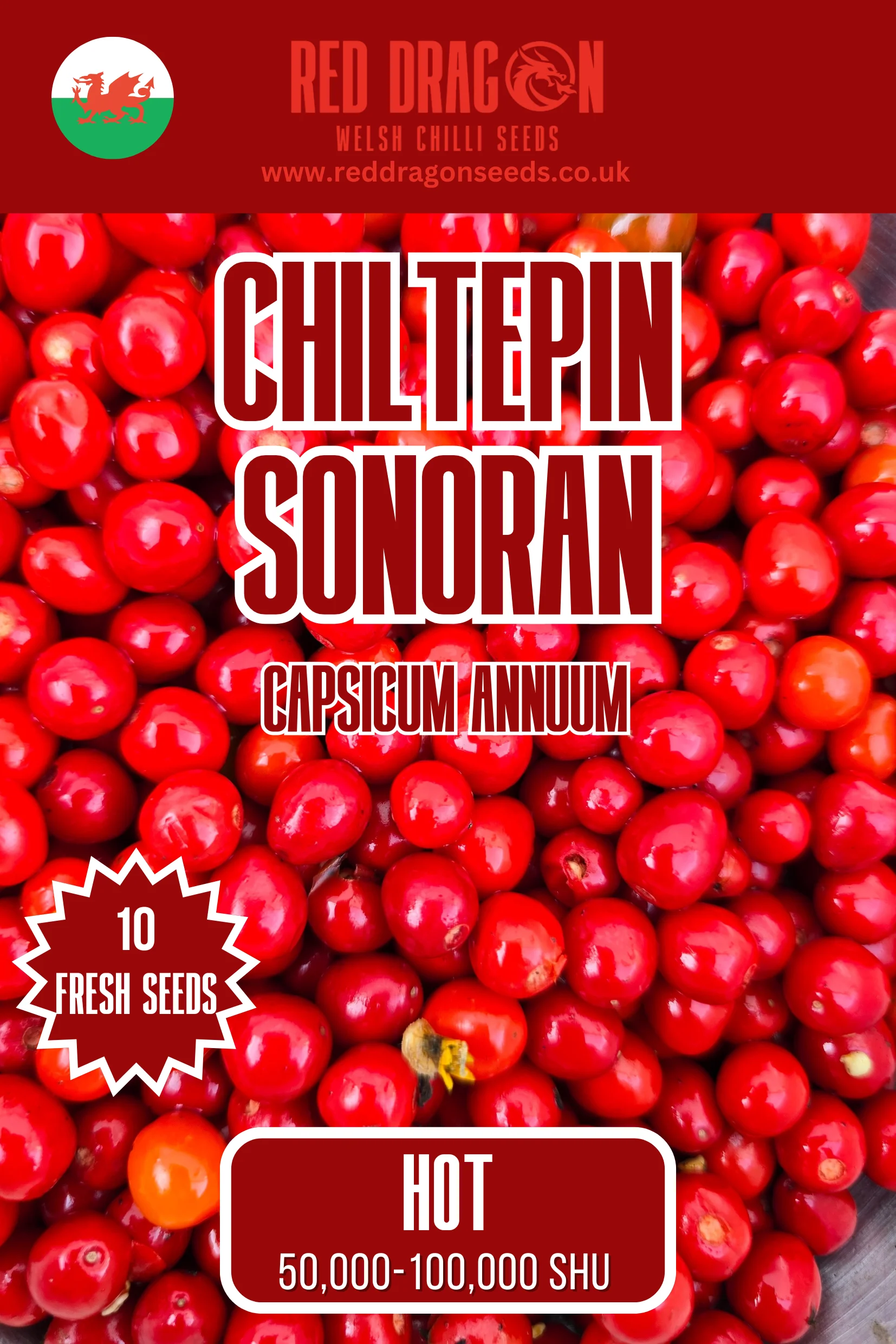 Chiltepin Sonoran Chilli Seeds
