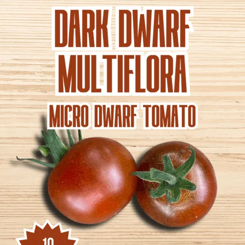 Dark Dwarf Multiflora Micro Dwarf Tomato Seeds