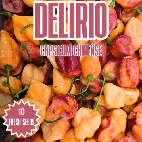 Delirio Chilli Seeds