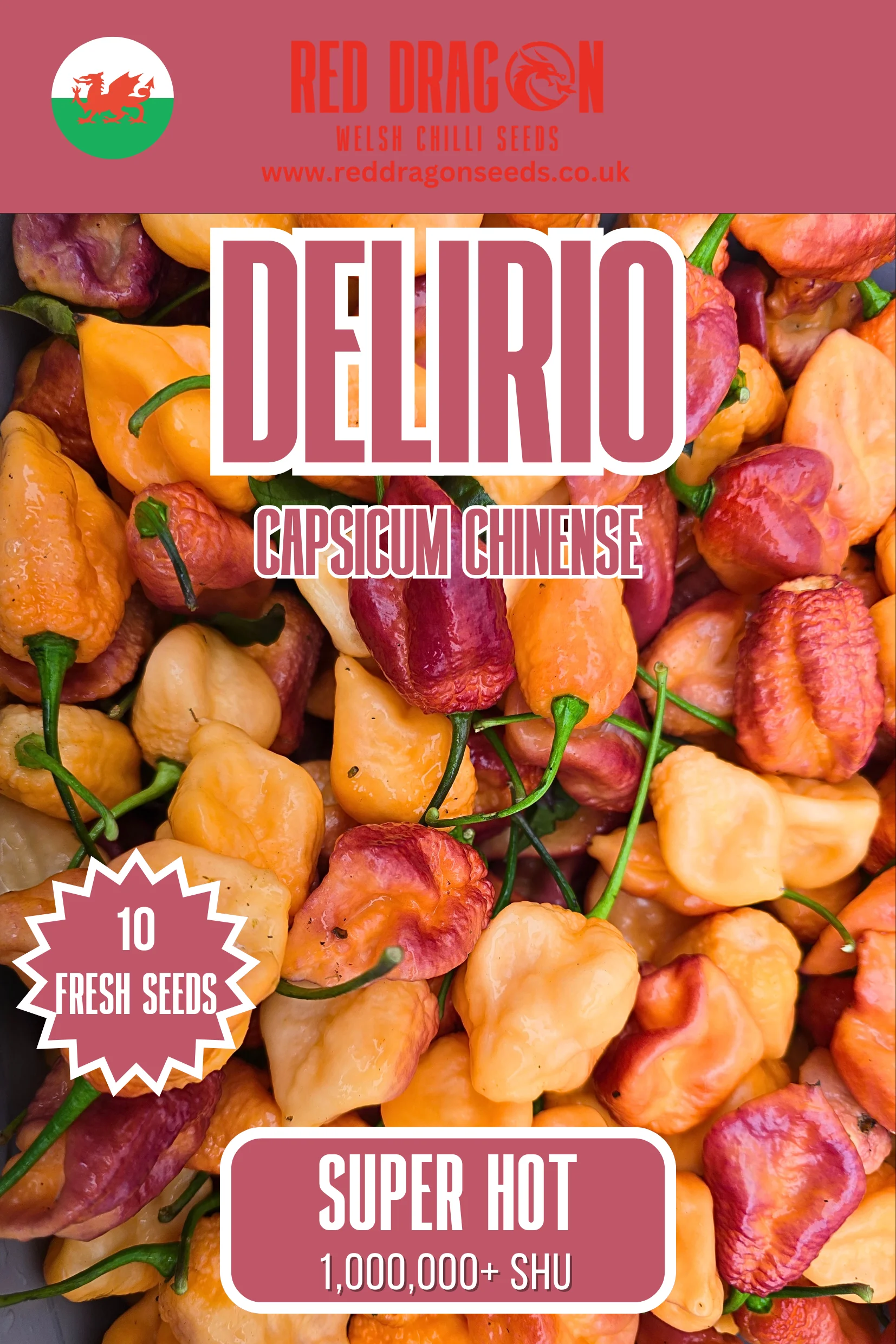 Delirio Chilli Seeds