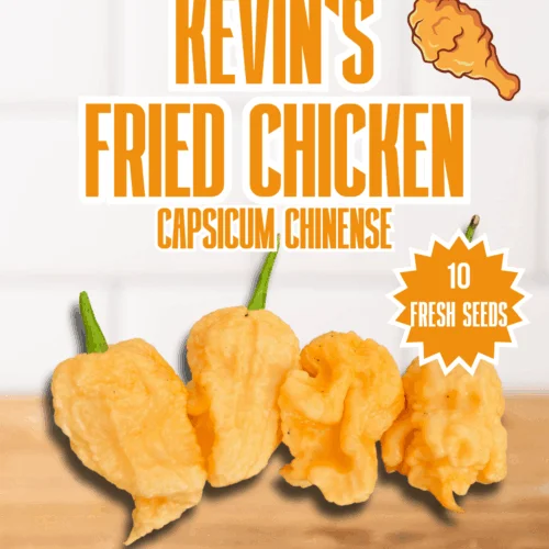 Kevin's Fried Chicken Chilli Seeds