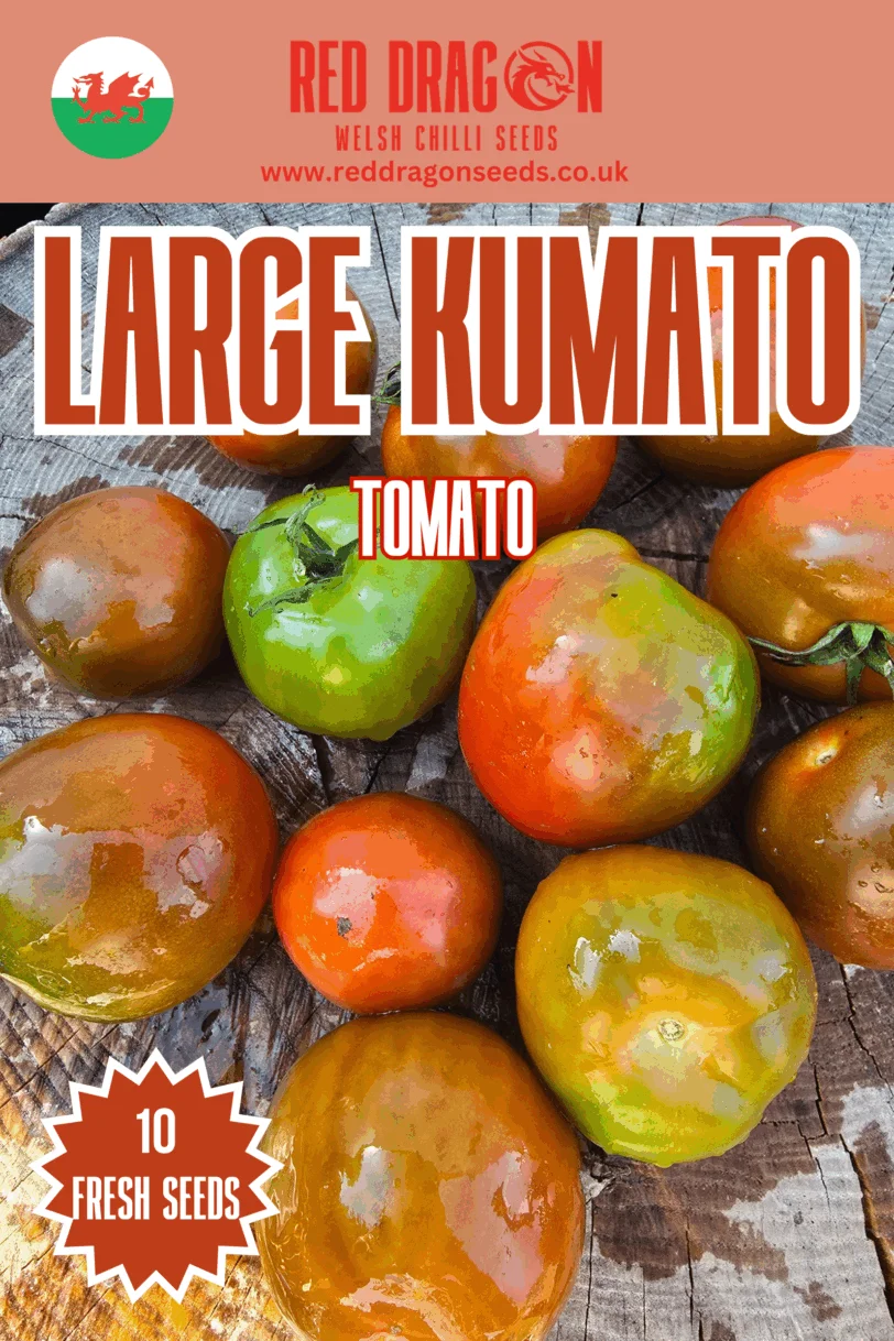 Large Kumato Tomato Seeds