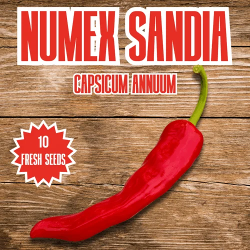 Numex Sandia Chilli Seeds