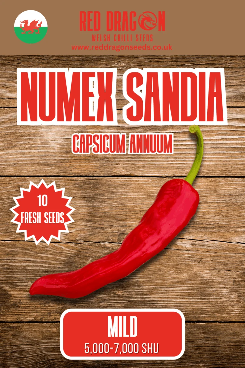 Numex Sandia Chilli Seeds