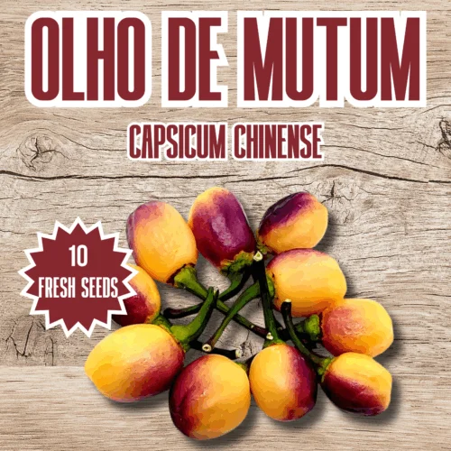 Olho de Mutum Chilli Seeds