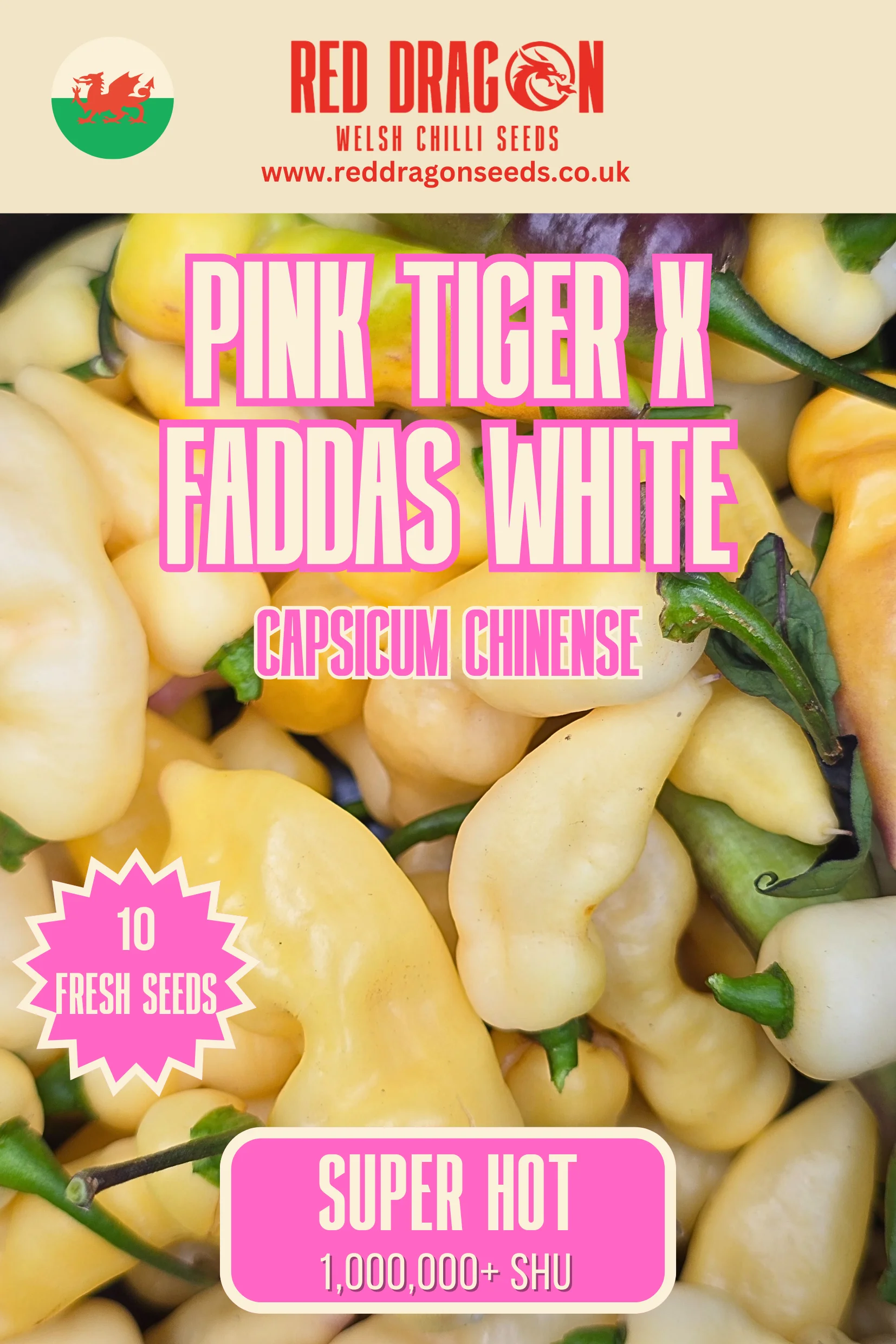 Pink Tiger x Faddas White Chilli Seeds