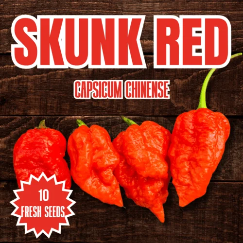 Skunk Red Chilli Seeds
