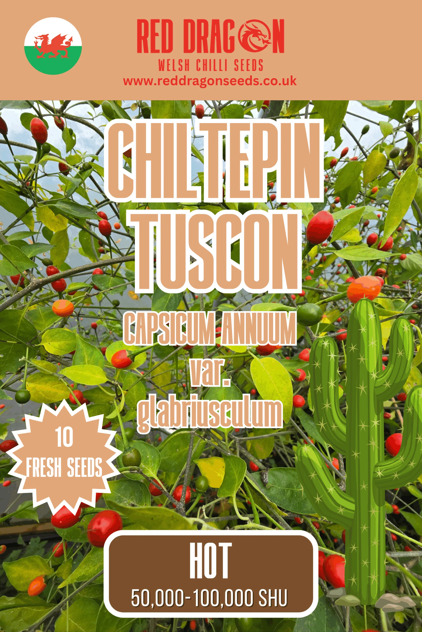 Chiltepin Tucson Chilli Seeds